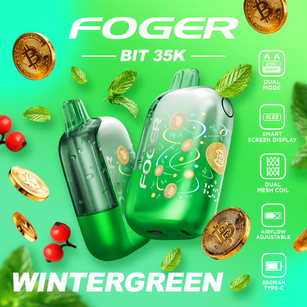 WinterGreen | Foger Bit 35K Vape  35,000 Puffs