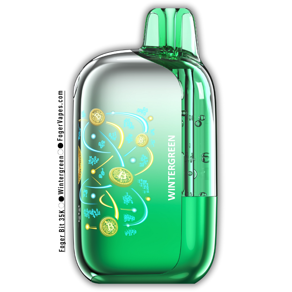 WinterGreen – Foger Bit 35K Puffs