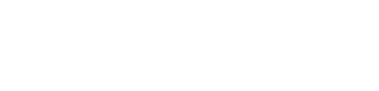 Foger Vapes